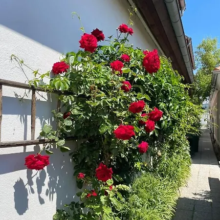 Guest house Birnbom Warnemuende