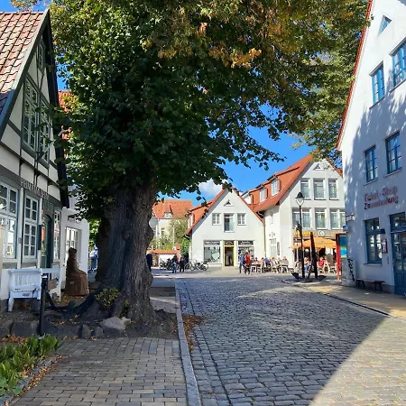 Birnbom Warnemuende Guest house 3*