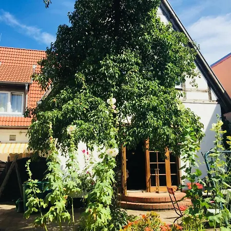 Birnbom Warnemuende Guest house