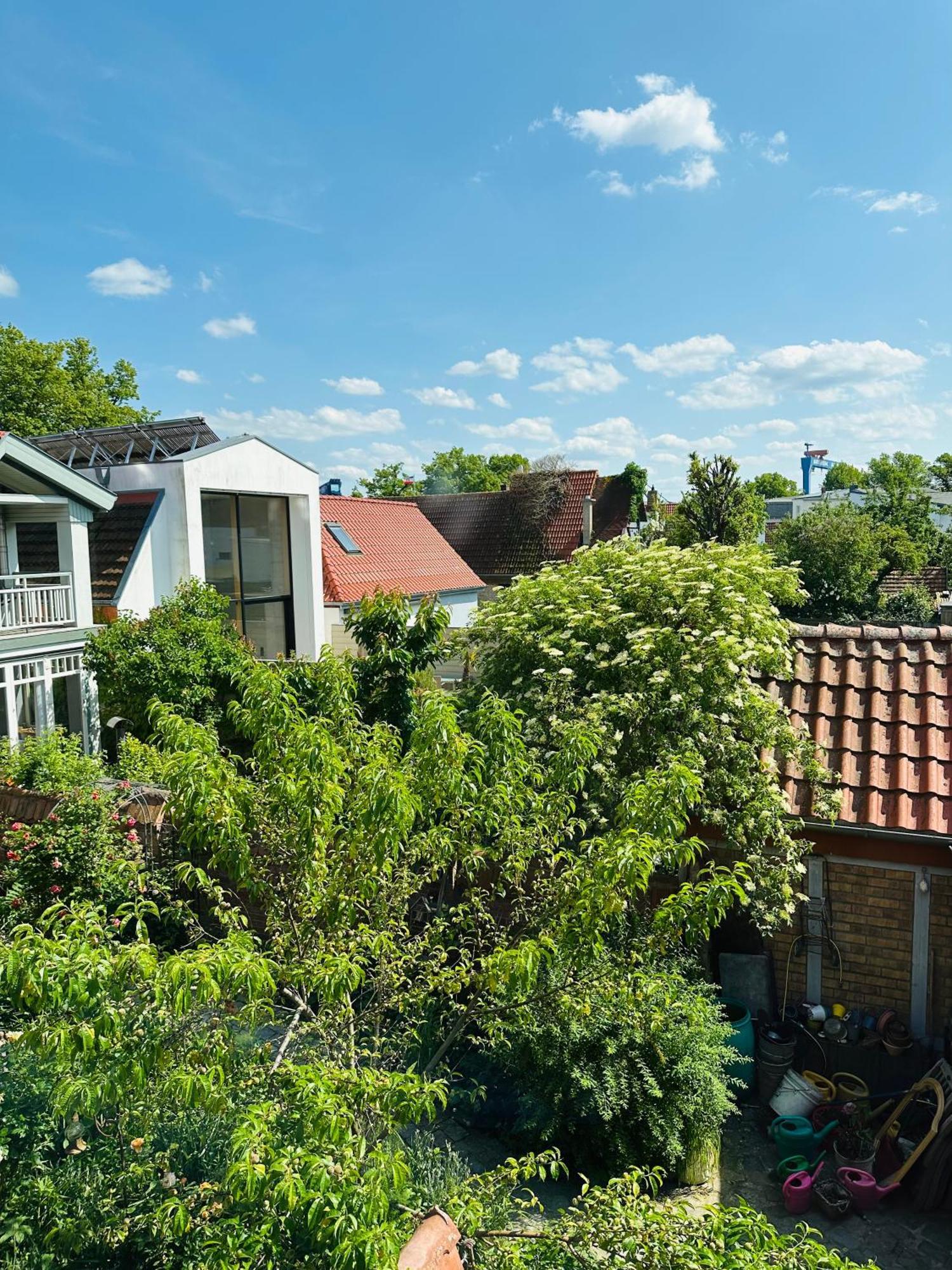 Birnbom Warnemuende Guest house Rostock