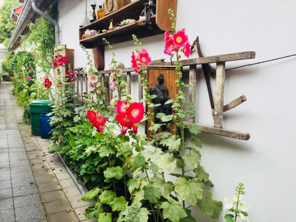 Birnbom Warnemuende Rostock